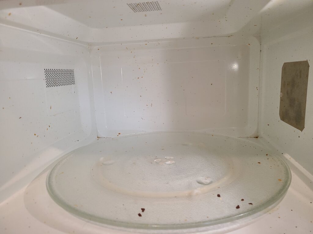 Before the microwave was cleaned